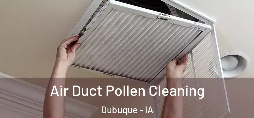  Air Duct Pollen Cleaning Dubuque - IA
