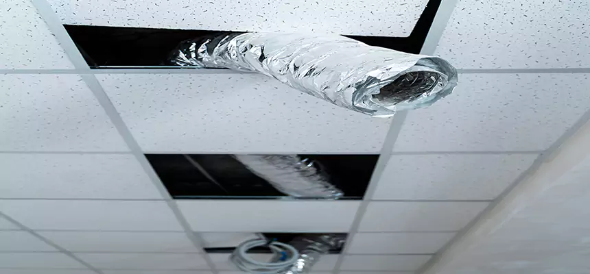 Affordable HVAC Sanitizing After Pest Removal in Dubuque