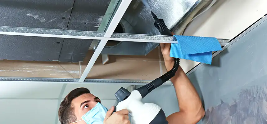 Our Air Duct Rodent Removal Services in Dubuque, IA