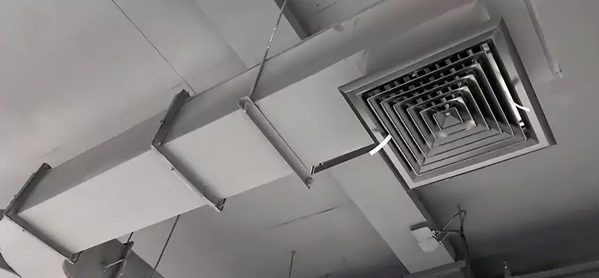 Restorative Allergy Relief Vent Cleaning – Coil, Blower & Housing Detail in Dubuque