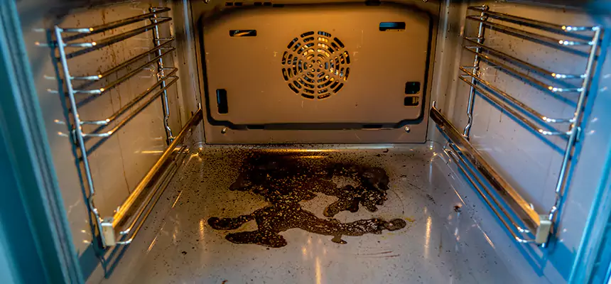 Our Dryer Vent Mold Cleaning Services in Dubuque, IA