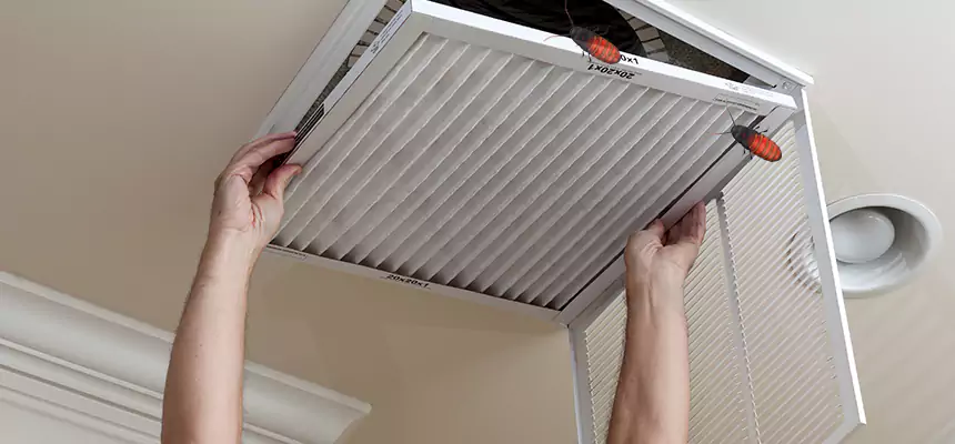 Our Insect Removal from Air Ducts Services in Dubuque, IA
