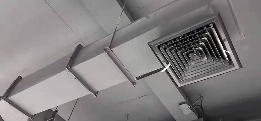 Our Pest Removal From Ducts Services in Dubuque, IA