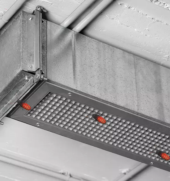 About Air Duct Cockroach Removal in Dubuque, IA