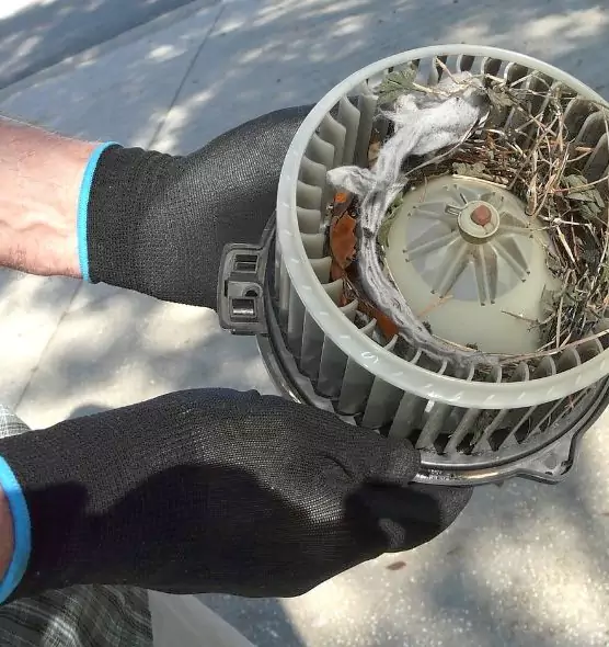 About Air Duct Mice Removal in Dubuque, IA