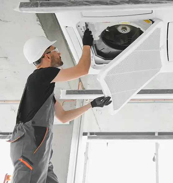 About Air Duct Rodent Removal in Dubuque, IA